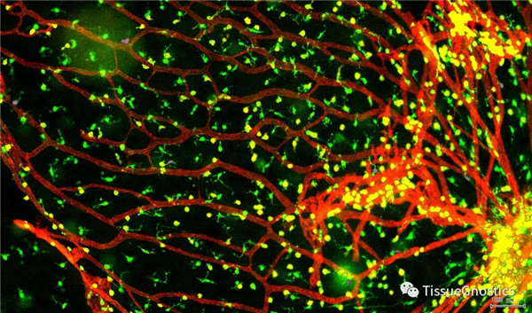 1621933312902832.jpg 640 (14).jpg